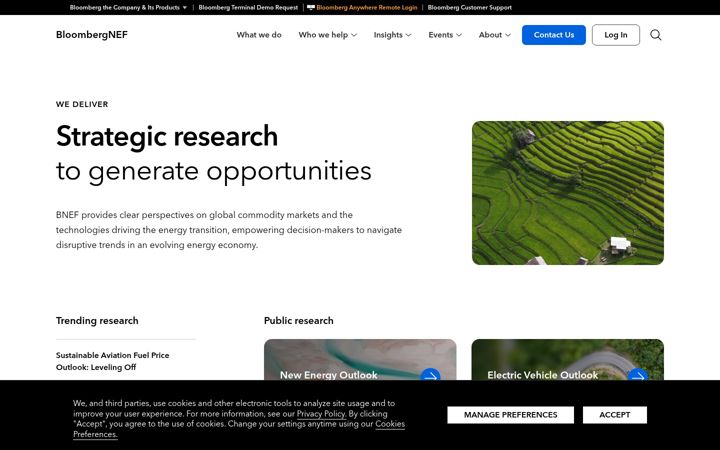 Skærmbillede af bnef.com