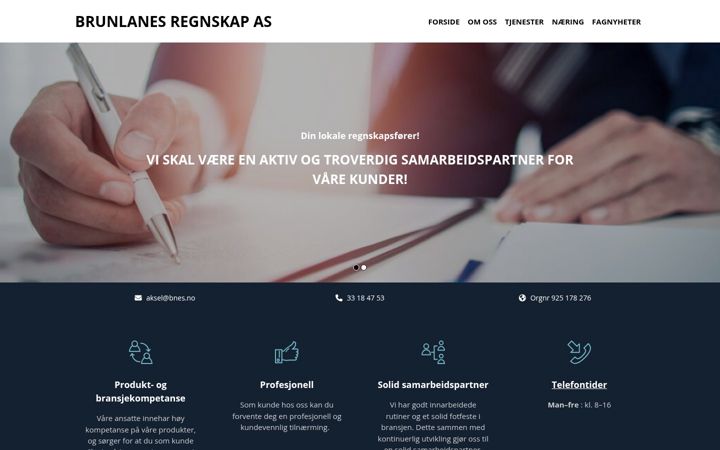 Screenshot of bnes.no