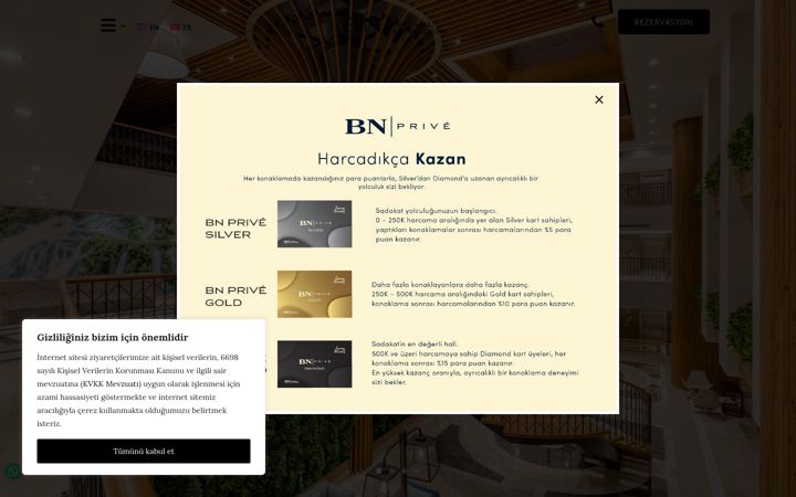 Screenshot stránky bnhotels.com.tr