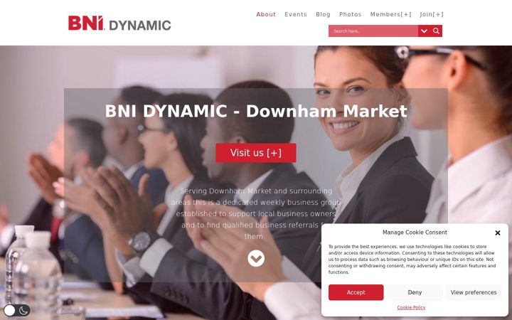 Screenshot of bnidynamic.co.uk