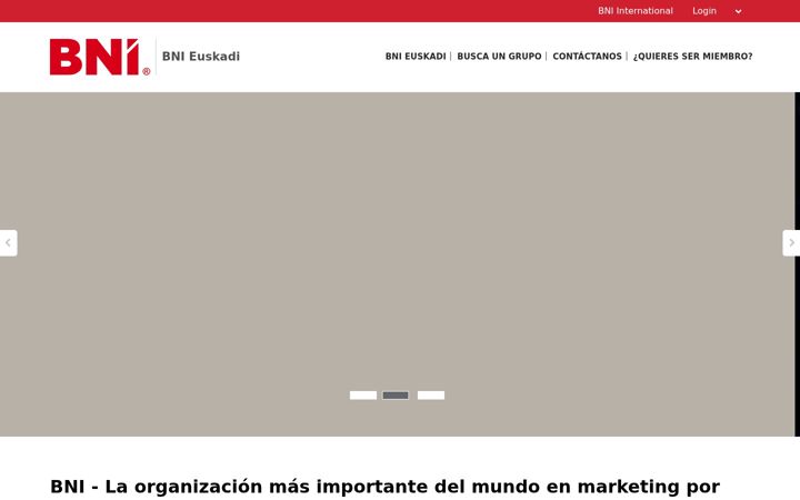 Screenshot of bnieuskadi.com