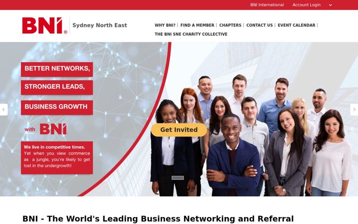 Screenshot of bnisne.com.au