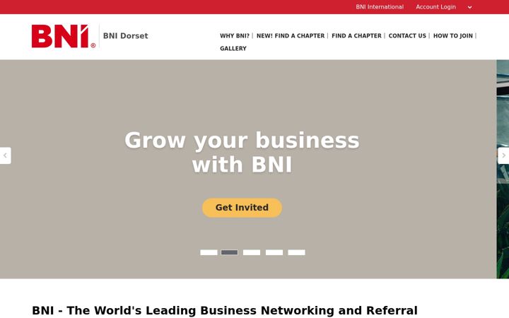 Zrzut ekranu bniwestern.com