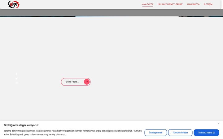Screenshot of bnrkimya.com