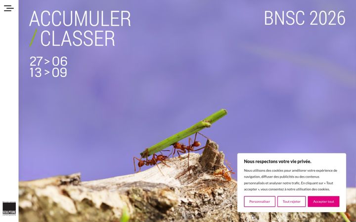 Screenshot of bnsc.ca