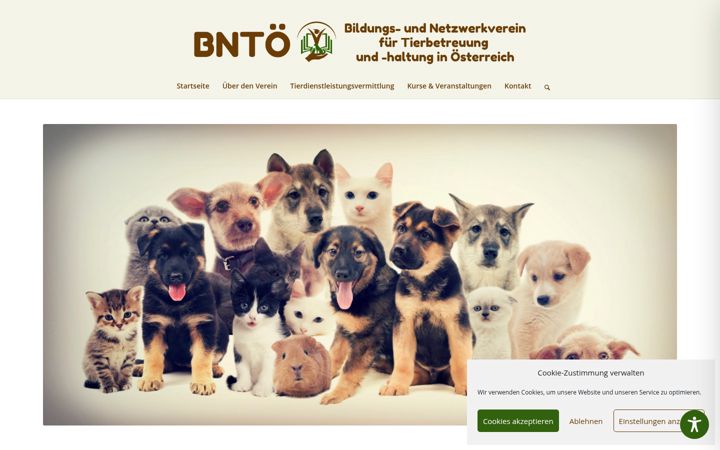 Screenshot of bntoe.at