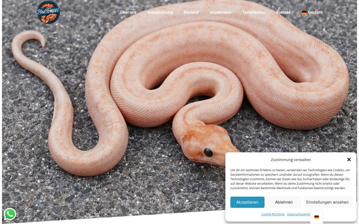 Snímek obrazovky boa-tempel.com