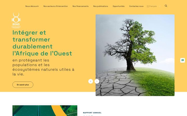 Screenshot of boad.org