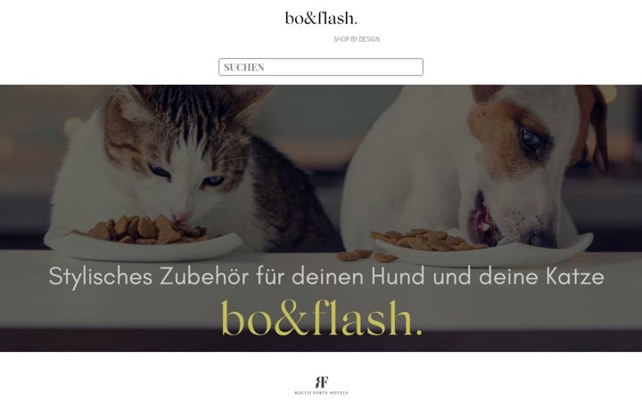 Screenshot of boandflash.com