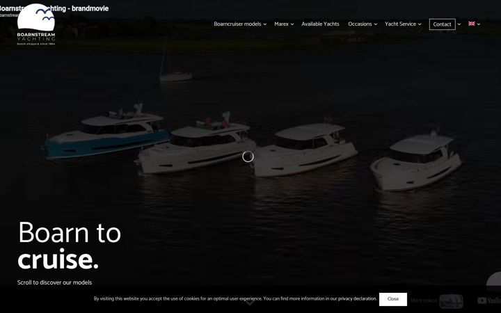 Snímek obrazovky boarnstream.com