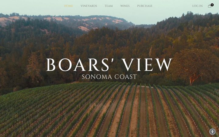 Captura de ecrã de boarsview.com