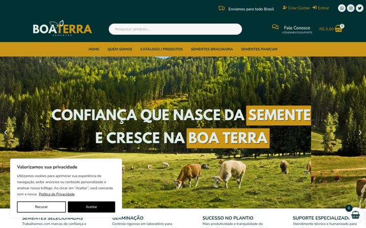 Screenshot of boaterrasementes.com.br