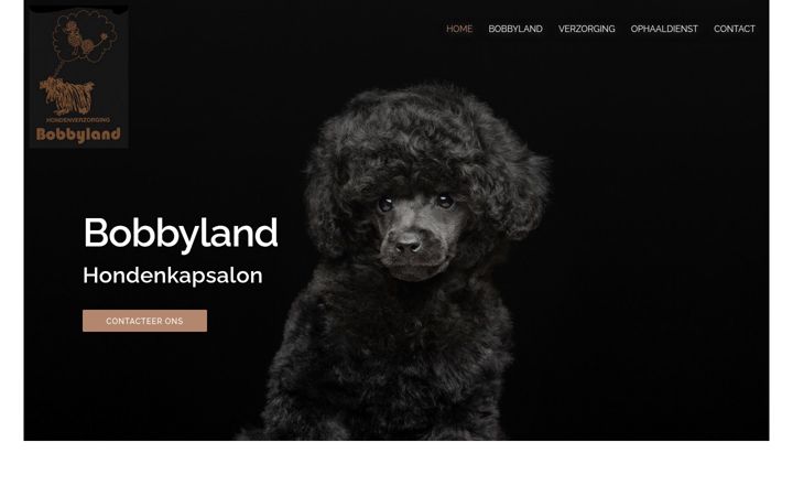 Screenshot of bobbylandschoten.be