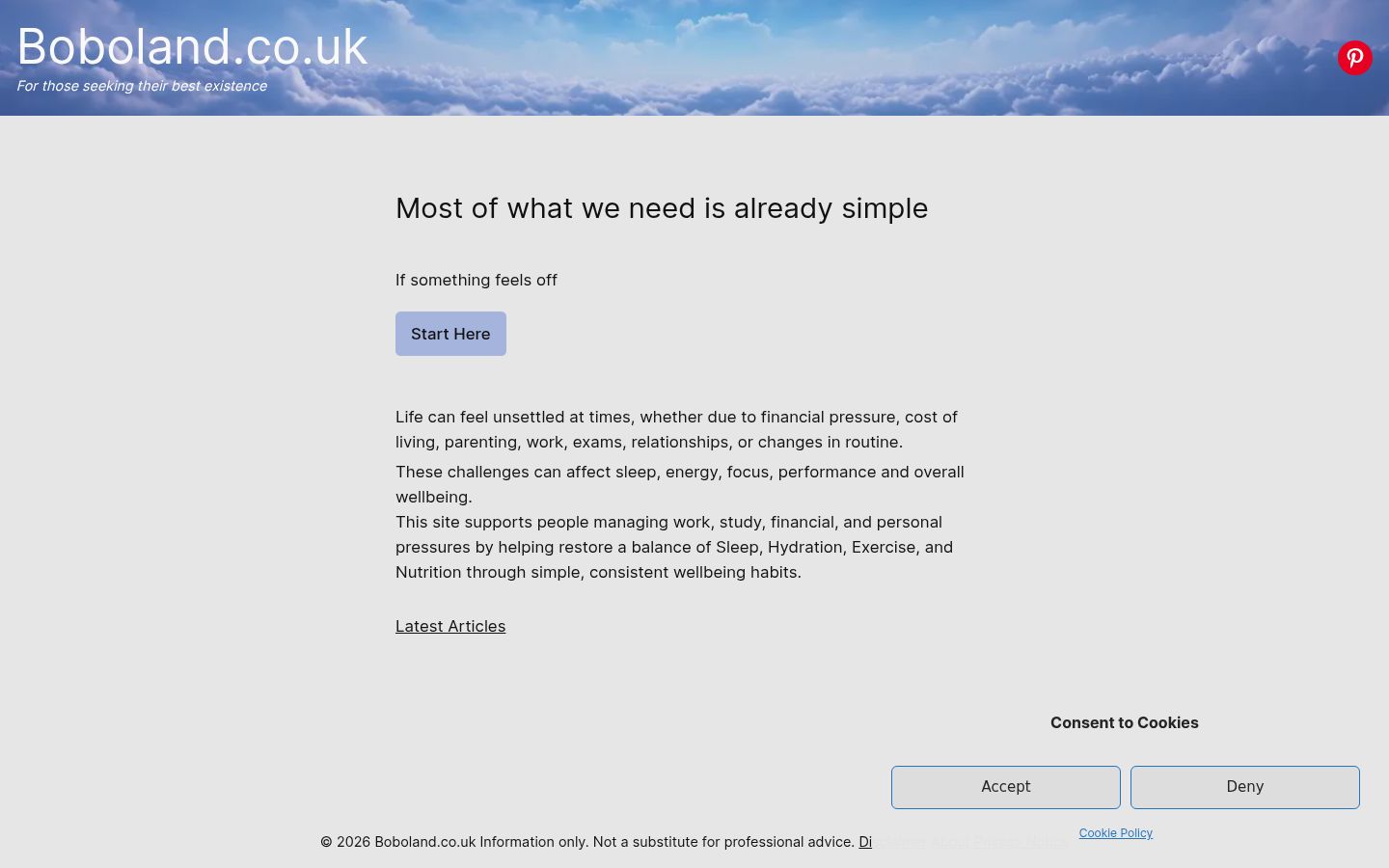 Screenshot of the consent banner shown before any interaction