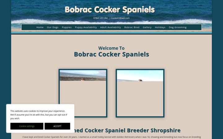 Screenshot of bobraccockers.com