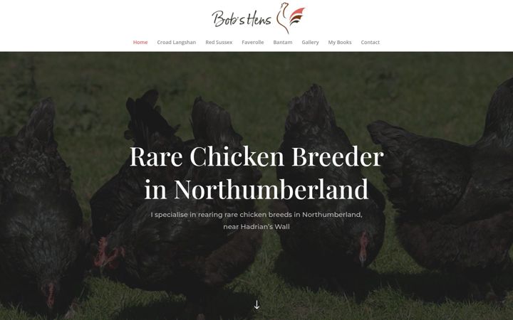 Screenshot of bobs-hens.co.uk