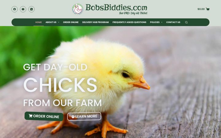 Screenshot of bobsbiddies.com