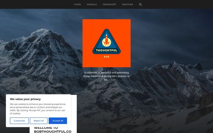 Screenshot of bobthoughtful.com