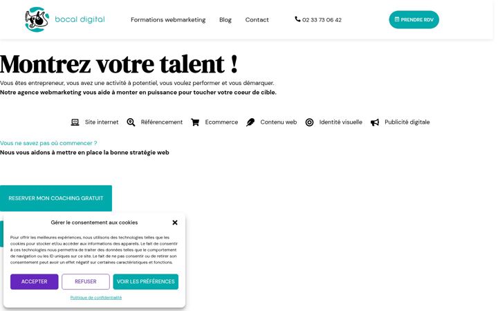 Screenshot of bocaldigital.fr