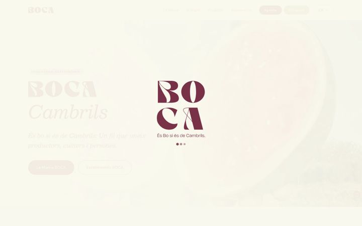 Screenshot of bocambrils.com