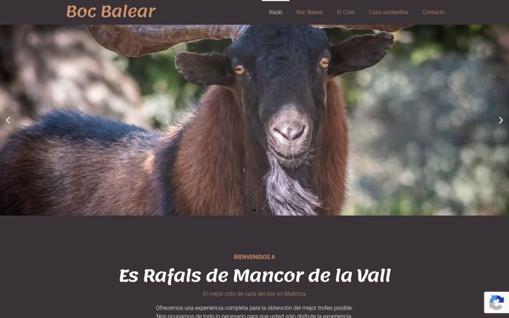 Screenshot of bocbalear.com