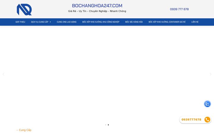 Screenshot of bochanghoa247.com