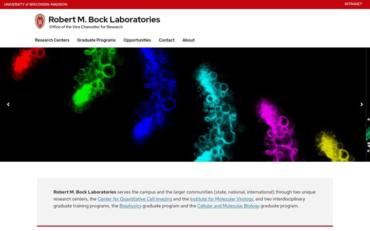 Screenshot of bocklabs.wisc.edu