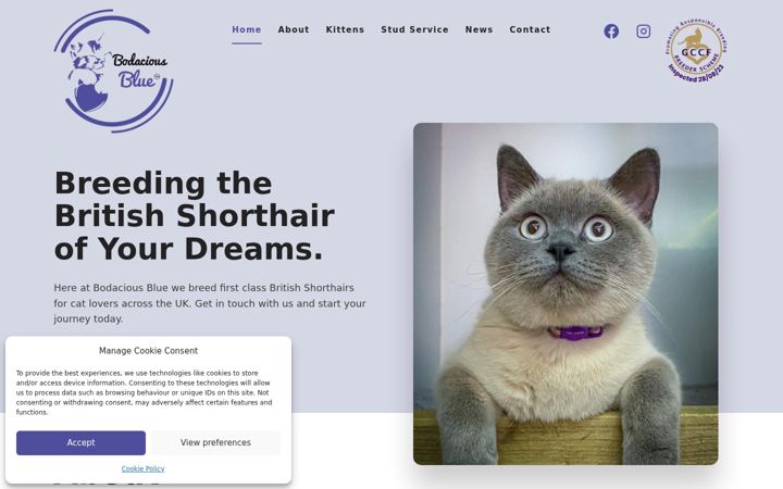 Screenshot of bodaciousblue.co.uk