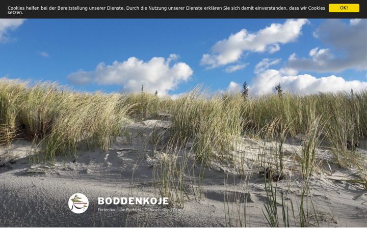 Screenshot of boddenkoje.de
