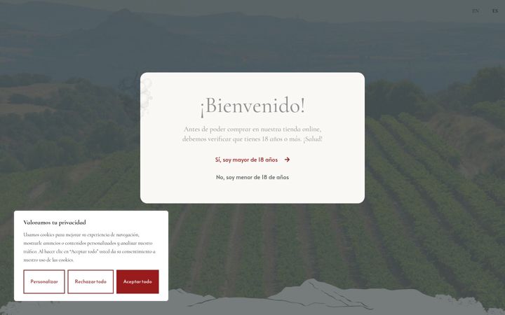 Screenshot ta' bodega-ottobestue.com