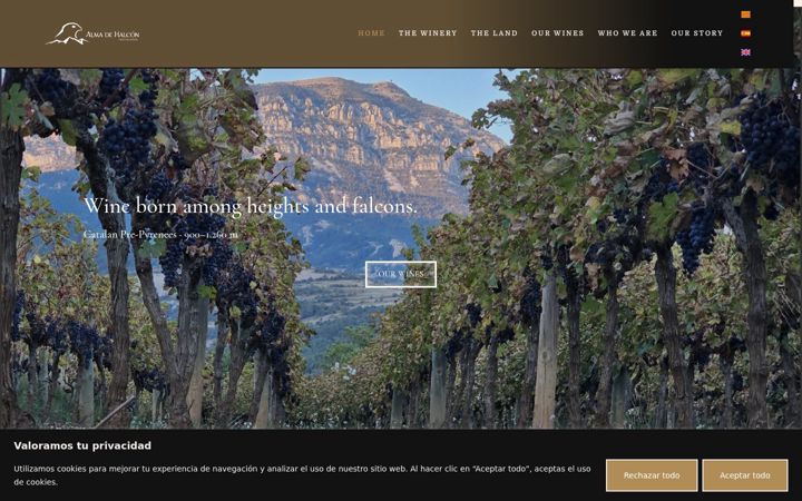 Screenshot ta' bodegaalmadehalcon.com