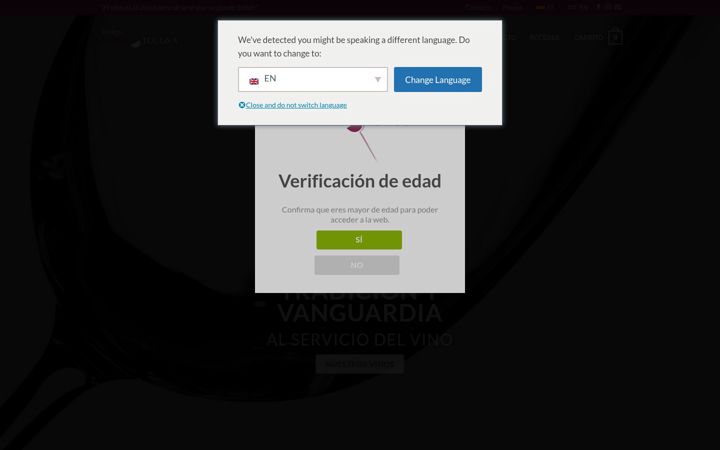 Screenshot of bodegapardotolosa.com