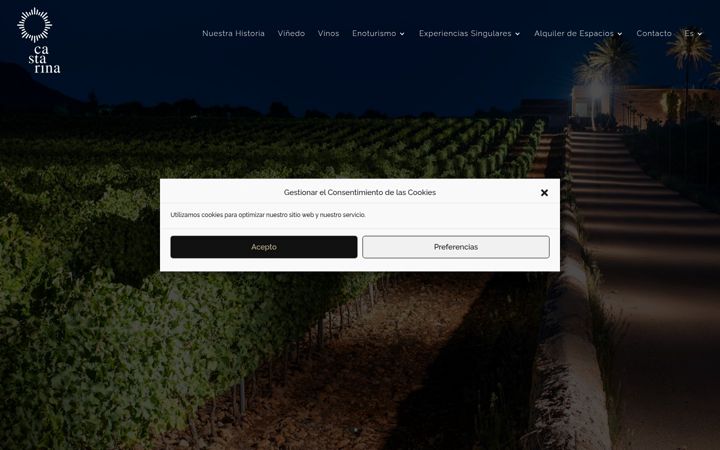 Screenshot of bodegasantacatarina.com