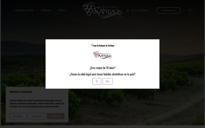 Skærmbillede af bodegasdesantiago.com