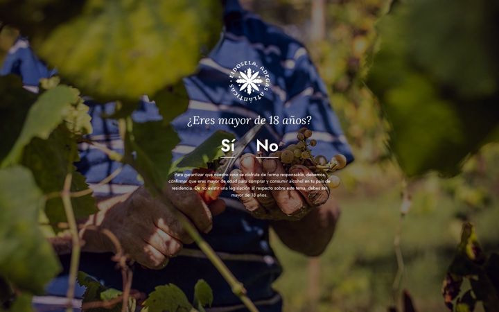 Skærmbillede af bodegaseidosela.com