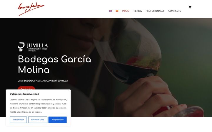 Screenshot ta' bodegasgarciamolina.com