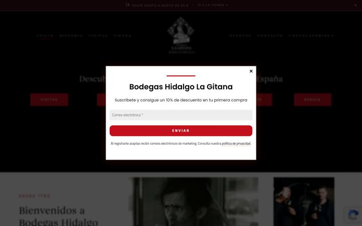 Screenshot ta' bodegashidalgolagitana.com