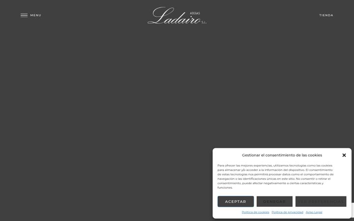 Screenshot of bodegasladairo.com