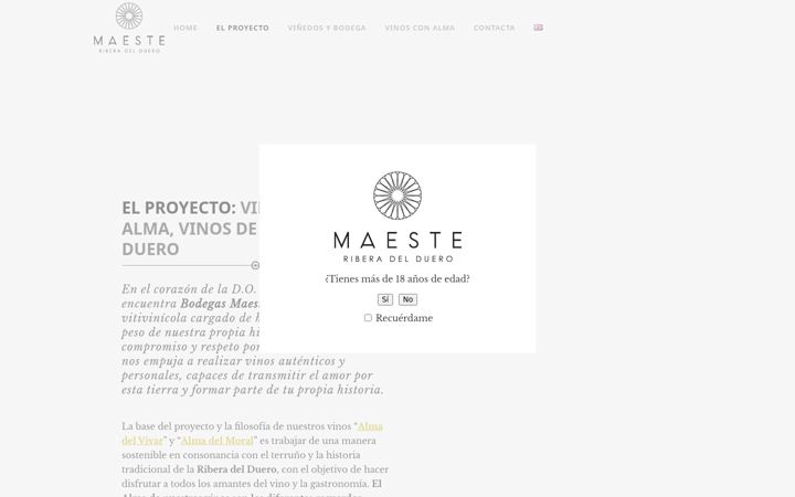 Zrzut ekranu bodegasmaeste.com