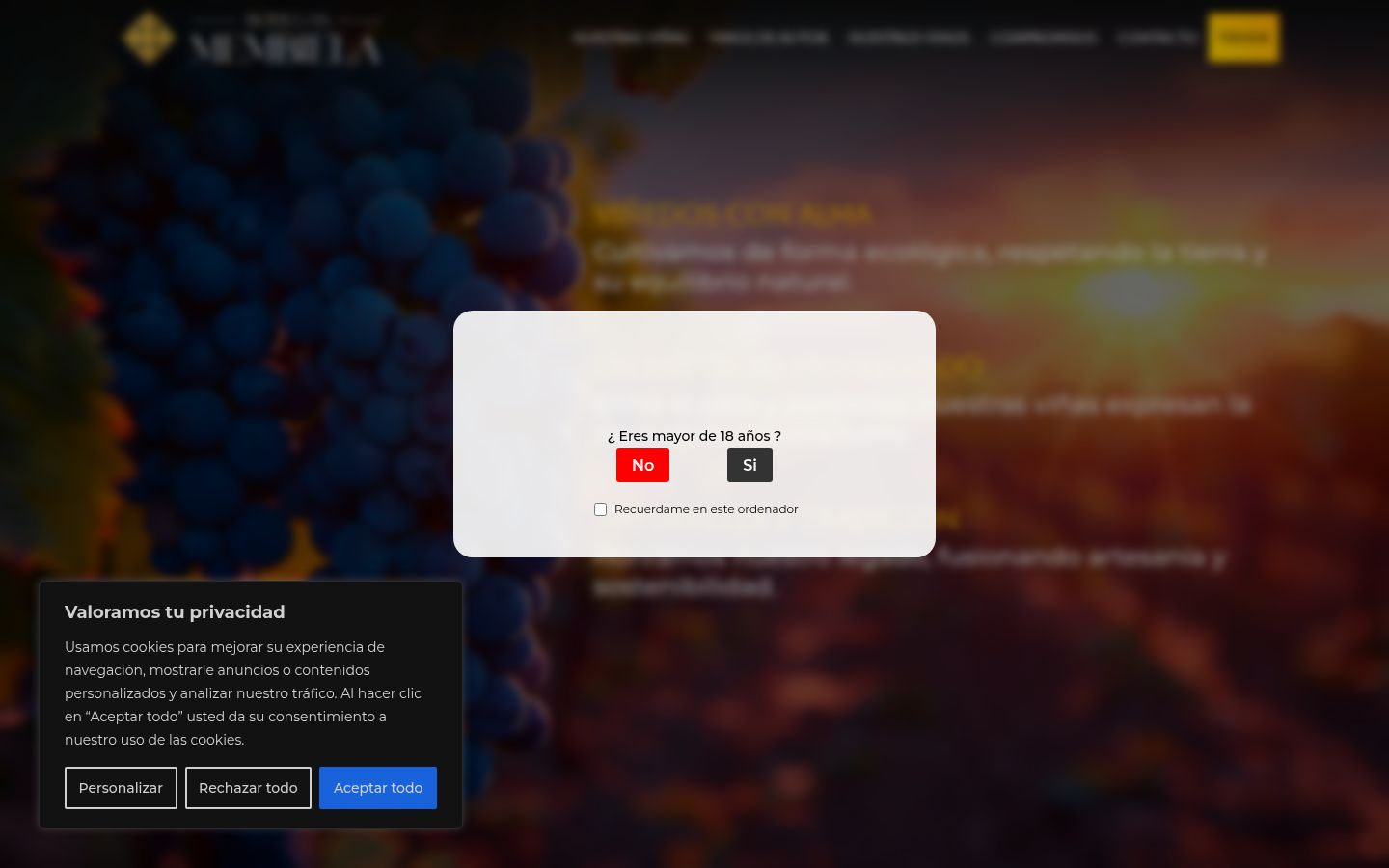 Screenshot του banner συγκατάθεσης που εμφανίστηκε πριν από οποιαδήποτε αλληλεπίδραση
