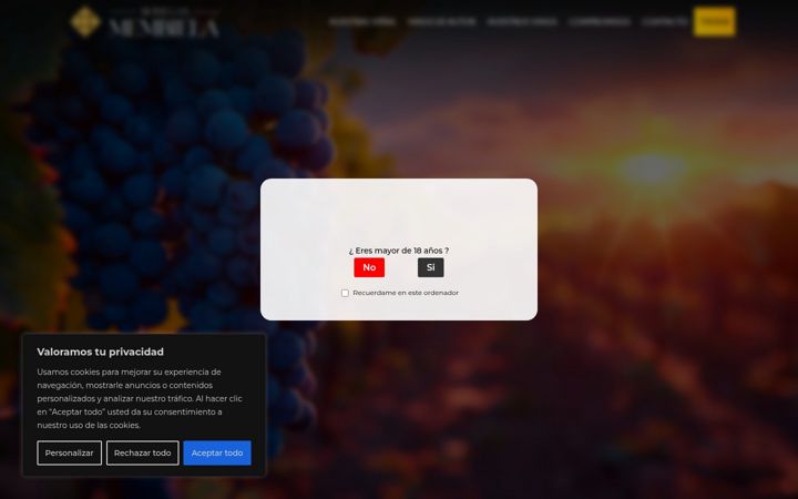Screenshot of bodegasmembiela.com