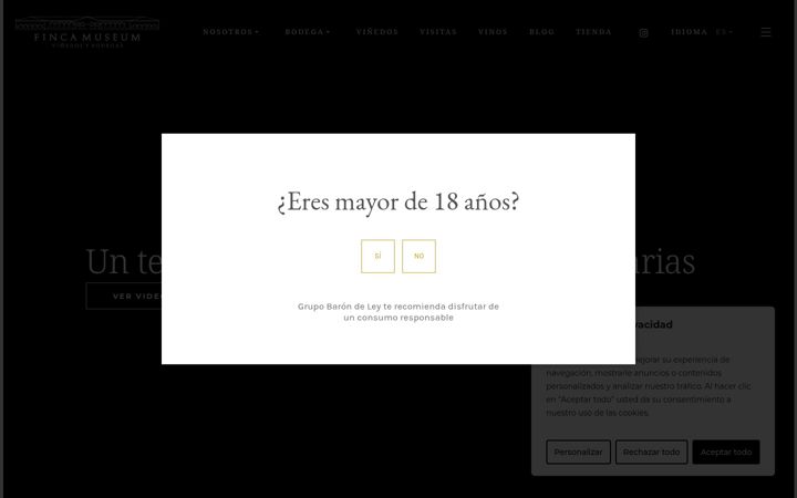 Screenshot of bodegasmuseum.com