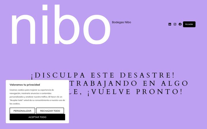 Screenshot of bodegasnibo.com
