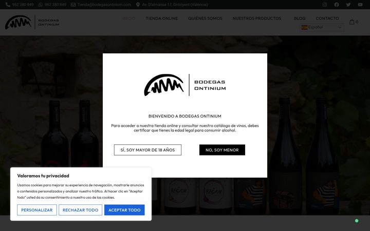 Screenshot di bodegasontinium.com