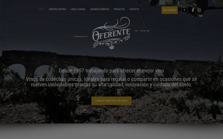 Screenshot of bodegassantiagoapostol.com