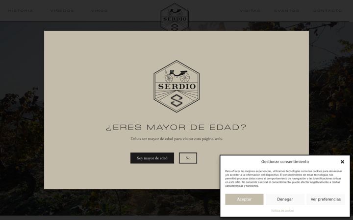 Screenshot of bodegasserdio.com