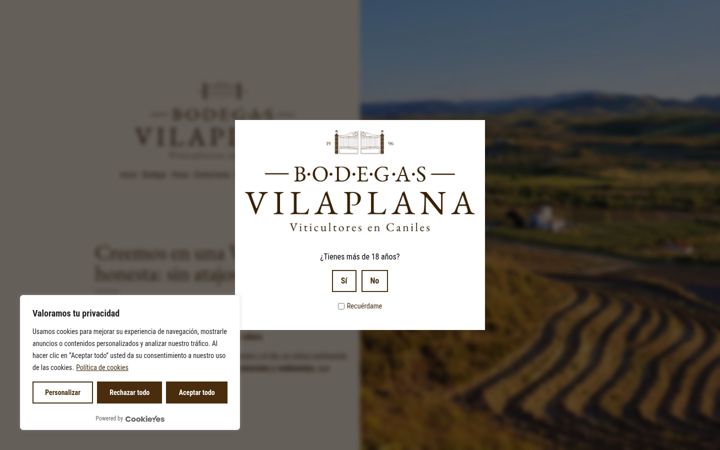 Skærmbillede af bodegasvilaplana.com