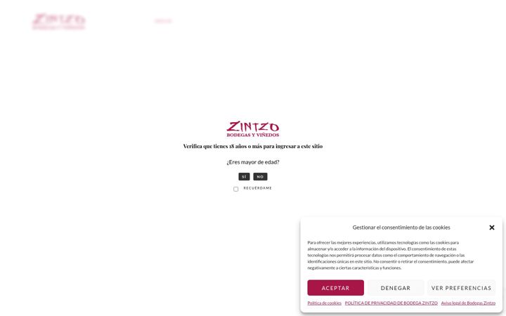 Skærmbillede af bodegaszintzo.com