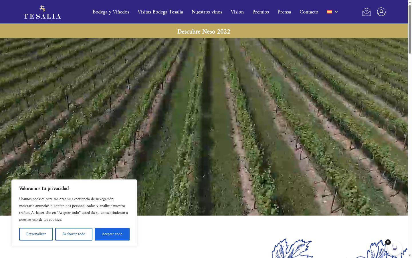 Screenshot del banner di consenso mostrato prima di qualsiasi interazione