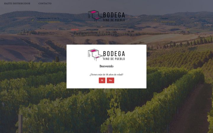 Skærmbillede af bodegavinodepueblo.com